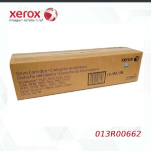 Drum Xerox 013R00662 Negro 125,000 Páginas