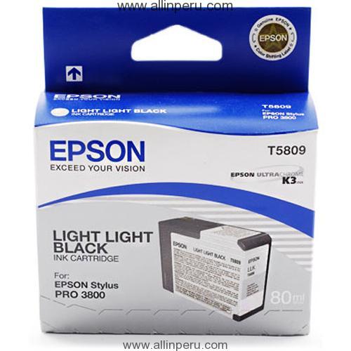 Tinta Epson T580900 Negro claro T5809, 80Ml