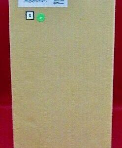 Tinta Epson T624800 Naranjado T6248, 950Ml